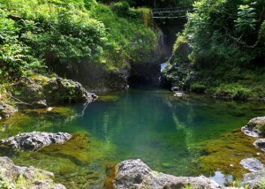 Ching's Pool and Bridge