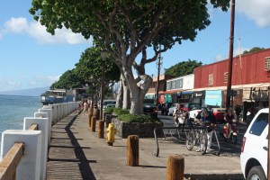 Lahaina ocean front walk