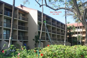 Painting Building 2 - Spring 2013