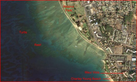 Turtle Reef Map