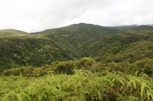 View of the watershed