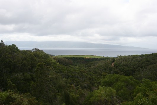 View to the ocean