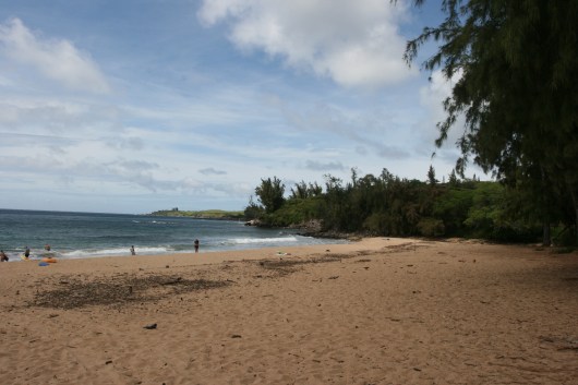 D. T. Fleming Beach