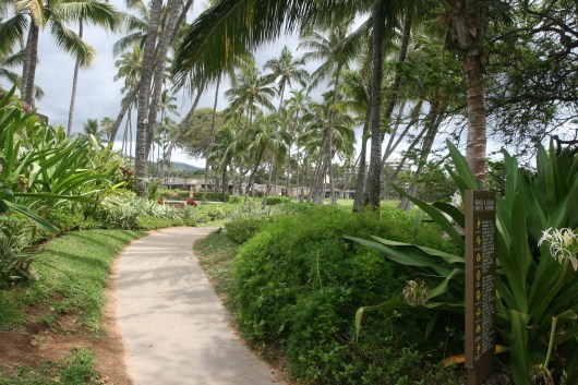 Start at Ulua Beach
