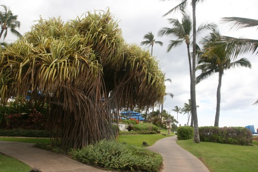 3a Approaching the Mariott