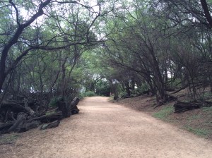 Trail from parking lot to Big Beach